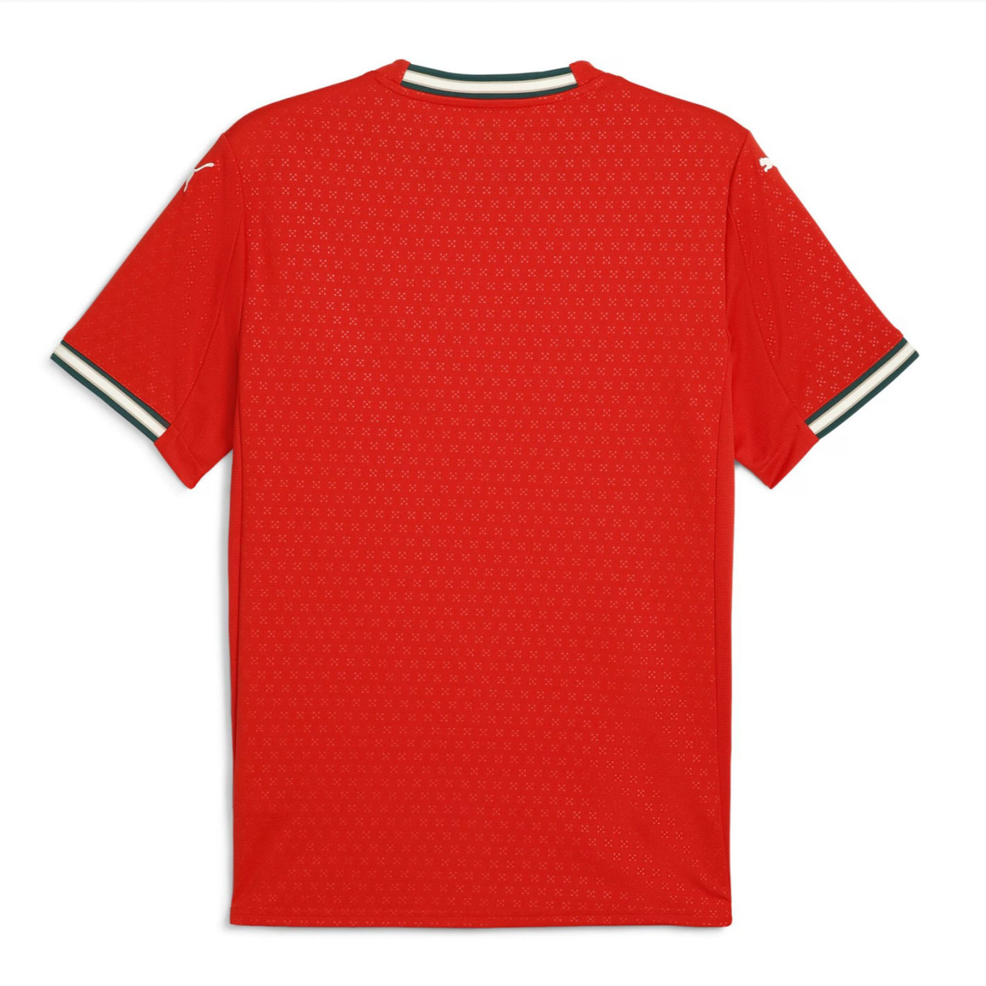 Portugal home shirt 2025